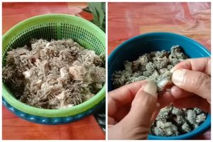 Tak perlu presto, ini trik sederhana mengempukkan babat sapi pakai satu bahan dapur