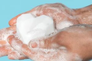 Nggak perlu beli, ini cara mudah membuat sabun pepaya untuk memutihkan kulit