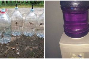 11 Potret nyeleneh isi galon air ini bikin mikir keras, kok bisa sih? 