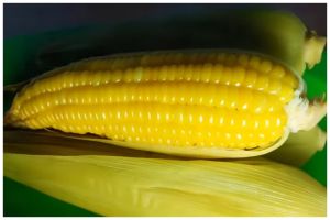 Cara cepat merebus jagung agar rasa manis alaminya tak hilang, hemat gas cuma 10 menit