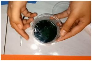 Cara bikin cup sealer biar minuman nggak tumpah tanpa mesin khusus, cuma modal Rp15.000