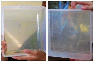 Tanpa pakai sabun cuci piring, ini trik bersihkan wadah bekas opor ayam yang menguning dan berminyak