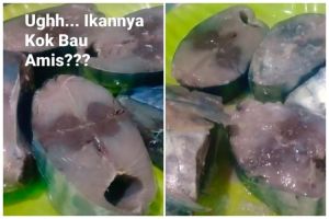Tanpa direbus dan diungkep, ini cara jitu hilangkan bau amis ikan tongkol cuma pakai 2 bahan dapur