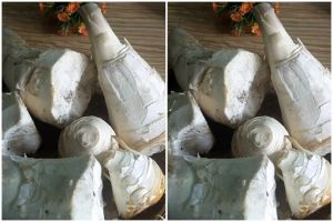 Bukan di kulkas, begini cara menyimpan rebung agar tahan berbulan-bulan