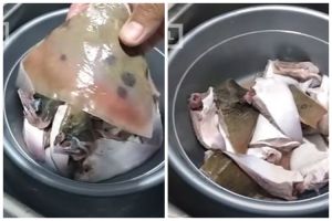 Makan tak perlu mual, ini cara ampuh basmi bau amis pada ikan laut cuma pakai sisa bahan dapur