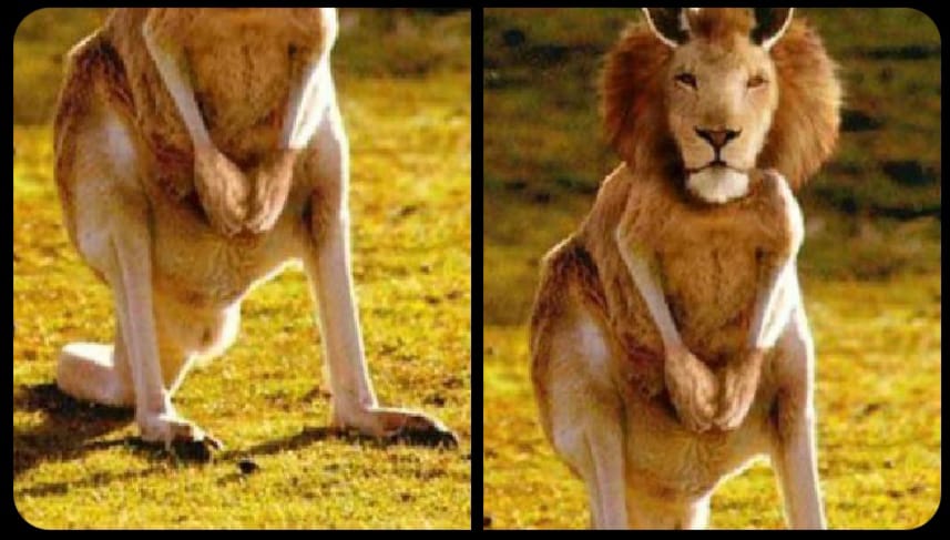 Bisa menipu mata, 11 potret kocak tebak gambar ini malah bikin kesal