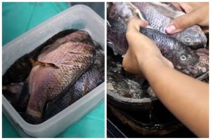 Cuma butuh 10 menit, ini cara cepat mencairkan ikan beku dari freezer