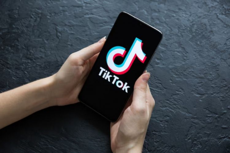 Cara download video TikTok di PC tanpa watermark, cukup gunakan website ini  | Techno.id