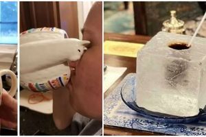 11 Potret desain nyeleneh gelas ini bikin orang susah minum, bentuknya di luar nalar