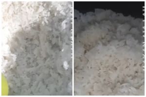 Cara memanaskan nasi beku dari freezer agar pulen dan lembut tanpa kukusan atau microwave