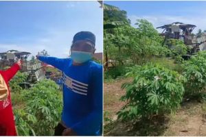 Tak mampu bayar kontrakan, kisah pasangan lansia bangun gubuk dari bahan daur ulang ini bikin haru