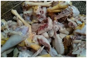 Tak perlu direbus, ini cara mengempukkan daging ayam kampung tanpa presto cuma pakai satu bahan dapur