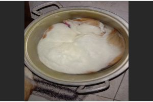 11 Potret kocak kucing tidur di tempat tak terduga ini bikin tepuk jidat