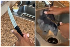 Tak perlu pakai cairan pembersih, ini cara mudah hilangkan karat pada pisau modal 1 alat dapur