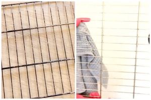 Tanpa dikerik atau disikat kuat, ini cara mudah bersihkan noda gosong membandel di rak oven