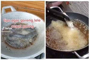 Cara jitu goreng lele agar cepat matang, garing, tetap lurus, dan minyak tidak meletup