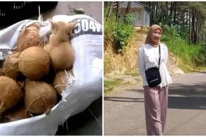 Tes kejelian mata, temukan kejanggalan di 11 potret kocak yang bikin geleng kepala