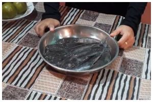 Pakai 4 bahan dapur, ini trik bikin lele goreng agar makin gurih dan tidak amis