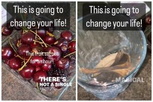 Cuma pakai 1 ampas dapur, ini cara bikin perangkap lalat buah tanpa cuka atau cairan khusus