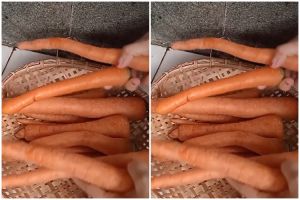 Nyetok sayuran tak sia-sia, cara mudah menyimpan wortel utuh agar tetap segar dan tahan berbulan-bulan