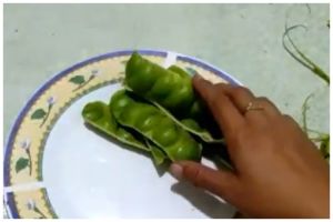 Cara jitu menyimpan petai supaya nggak bikin kulkas bau cuma pakai 2 bahan