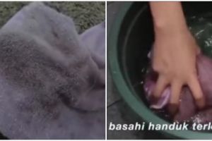 Cuma pakai 2 bahan dapur, ini cara ampuh bersihkan handuk mandi berjamur jadi auto bersih tanpa noda