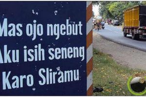 11 Tulisan lucu plang di jalanan ini bacanya bikin cekikikan