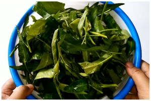 Cara menyimpan sayur kangkung supaya tak layu dan menguning hingga 1 minggu