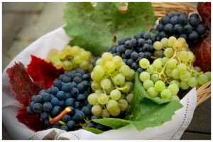 Awet seminggu, ini trik menyimpan anggur agar tak mudah busuk tanpa kulkas