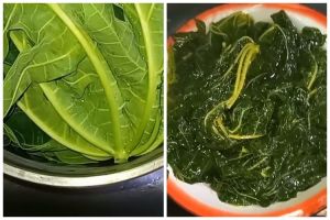 Tanpa tanah liat, ini trik menghilangkan rasa pahit daun pepaya cuma pakai 3 bahan dapur