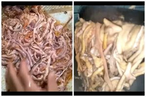 Cuma pakai 2 alat, begini cara praktis bersihkan usus ayam dengan cepat