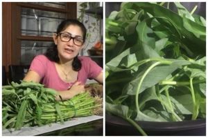 Tanpa direndam air, begini trik simpan sayur kangkung agar awet 1 minggu
