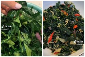 Tak perlu baking soda atau tanah liat, ini cara mengolah daun pepaya supaya tak pahit