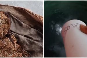 Aroma tak sedap auto hempas, ini cara praktis menghilangkan bau apek pada karpet hanya pakai 2 bahan