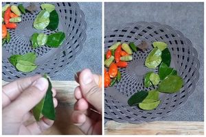 Bukan pakai pisau, begini cara mudah buang tulang daun jeruk agar tak pahit saat diolah