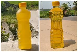 Bukan direndam air, begini trik menjernihkan minyak goreng yang mengendap dan keruh