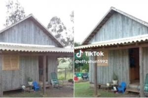 7 Potret bagian dalam rumah berdinding kayu ini bikin takjub, kamar mandinya mewah bak hotel