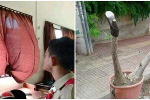 Jangan ngeres, 11 gambar lucu ini absurdnya bisa bikin kamu mikir kemana-mana