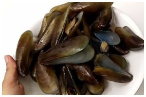 Trik mencuci dan mengolah kerang hijau agar rasanya semakin enak dan antiamis
