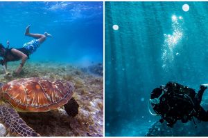 11 Arti mimpi berenang di laut menurut psikologi, bisa jadi keinginan untuk mencari hal baru