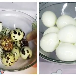 Tanpa direbus larutan garam, ini trik praktis mengupas telur puyuh agar hasilnya mulus