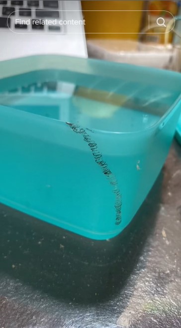 Cuma pakai 2 alat sederhana, begini cara perbaiki toples Tupperware yang patah