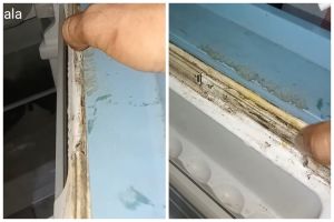 Tak perlu ganti baru, begini trik memperbaiki karet kulkas yang sobek cukup pakai 1 bahan