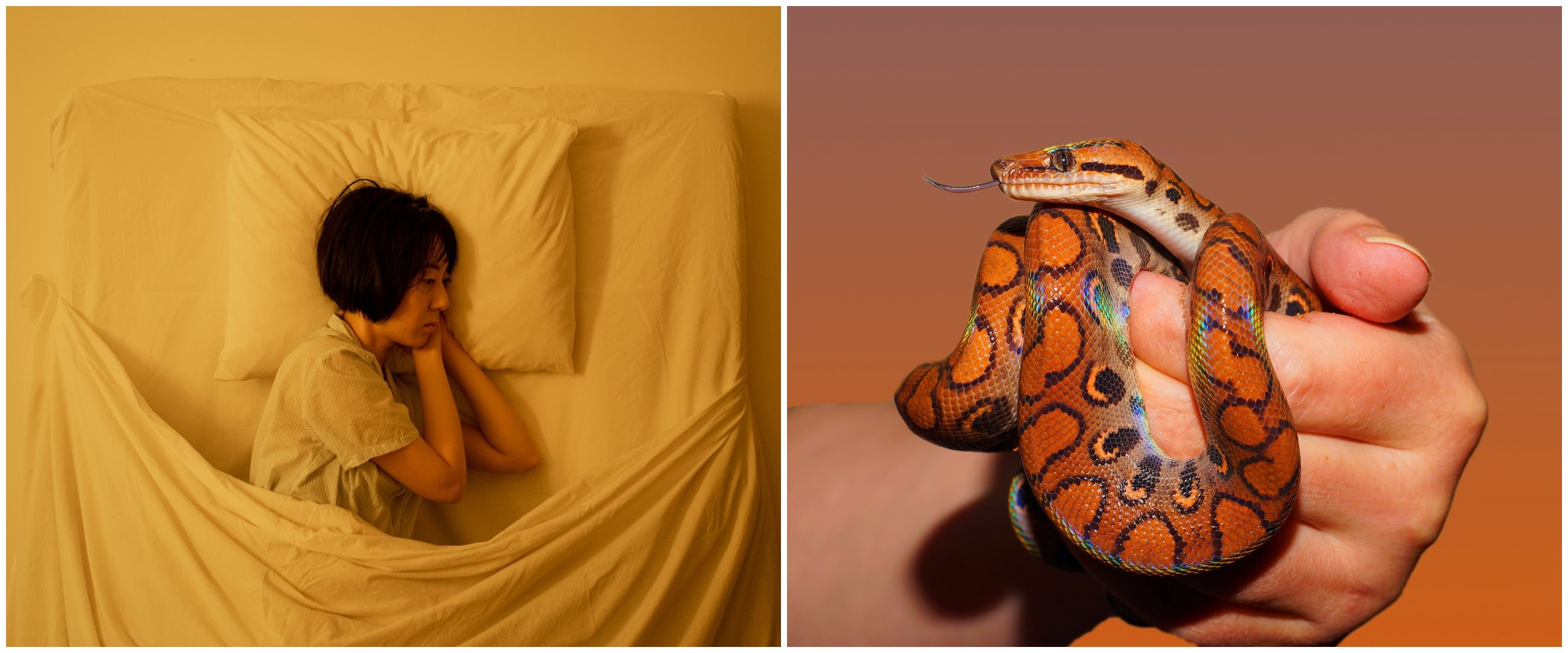 11 Arti mimpi digigit ular menurut psikologi, isyarat adanya tekanan dalam hidup