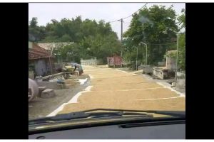 11 Potret kocak warga jemur padi di jalanan ini bikin nyengir sambil ingat kampung halaman