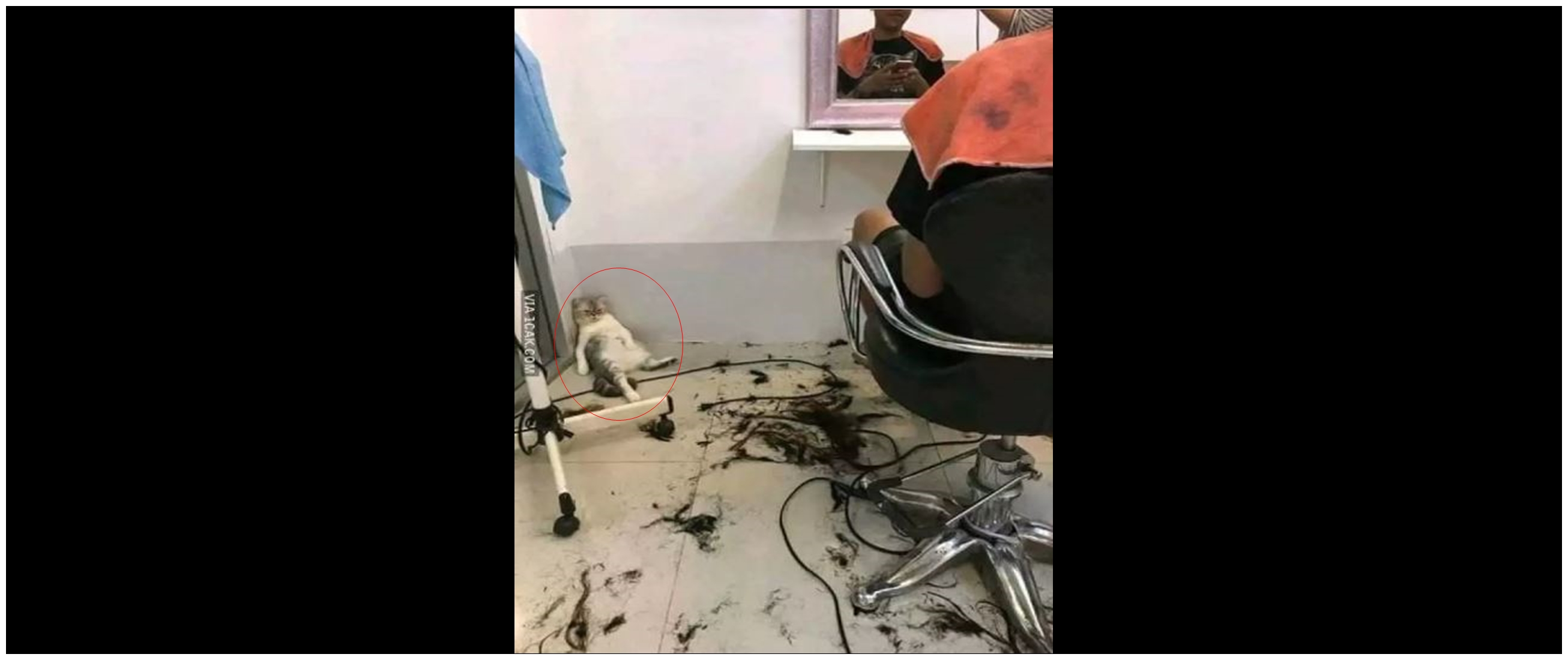 13 Potret kocak saat pangkas rambut ini nyeleneh abis, pose dan alat cukurnya bikin geleng kepala