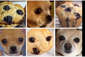 11 Potret kocak kamuflase hewan mirip makanan ini awalnya ngiler endingnya malah tepuk jidat