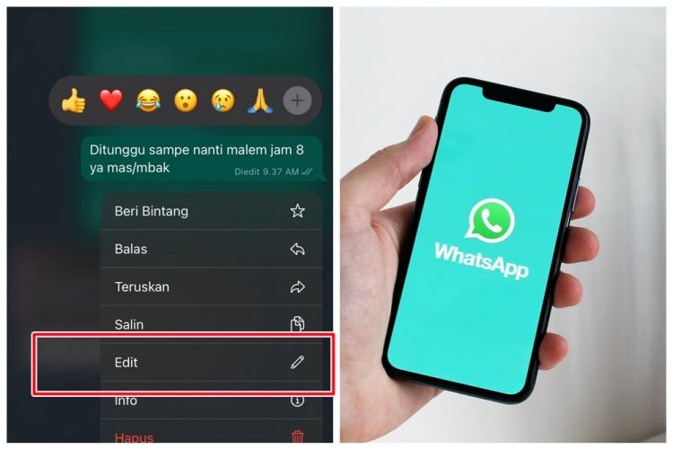 Chat WhatsApp bisa diedit setelah terkirim di iPhone, ini cara mudah menerapkannya