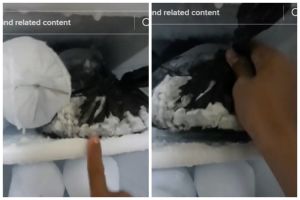 Bukan diberi air panas, cara mudah mengambil bungkus berisi bahan makanan yang menempel di rak freezer