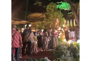 Konsep mewah bin unik pernikahan anak bos kebun binatang, bisa sambil ngasih makan hewan